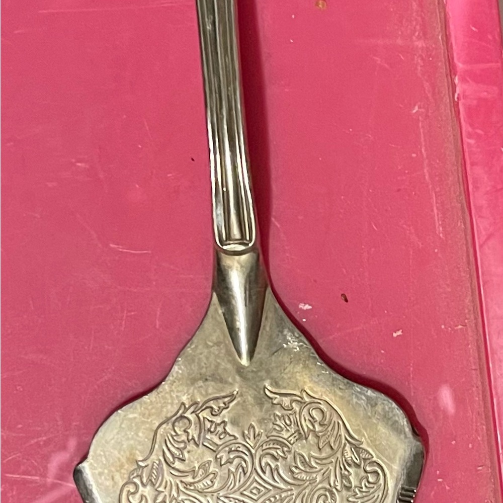 Elegant Silver Decorative Spatula